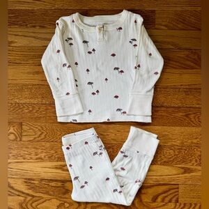 EUC Rare 🍄 Fin & Vince Mushroom Set 2-3Y 🍄